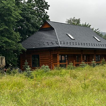 Chalet Pidstromom Mykuljtsjin Eksteriør bilde