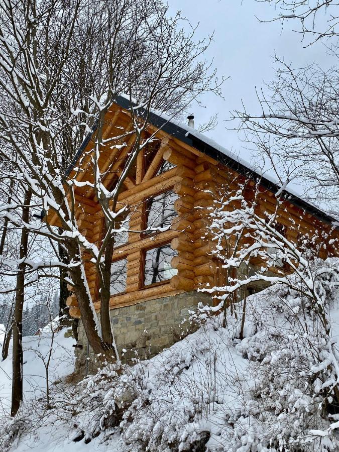 Chalet Pidstromom Mykuljtsjin Eksteriør bilde