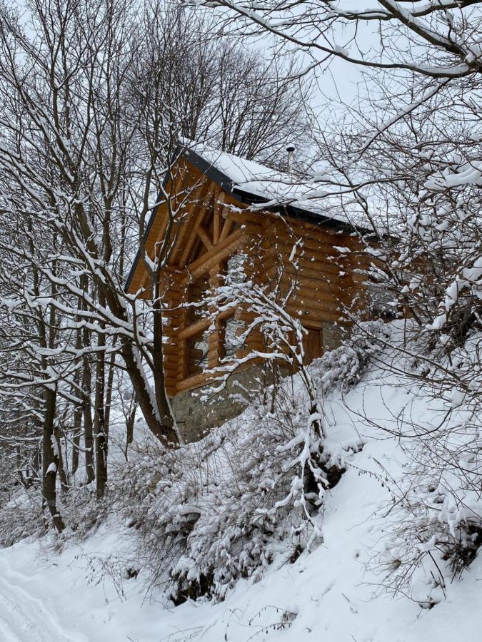 Chalet Pidstromom Mykuljtsjin Eksteriør bilde